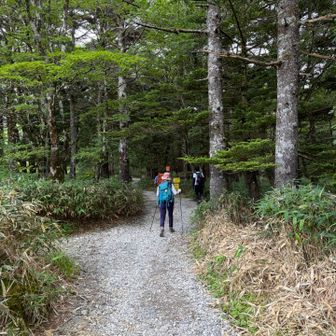 大台ヶ原の森に向かってスタートします🌳