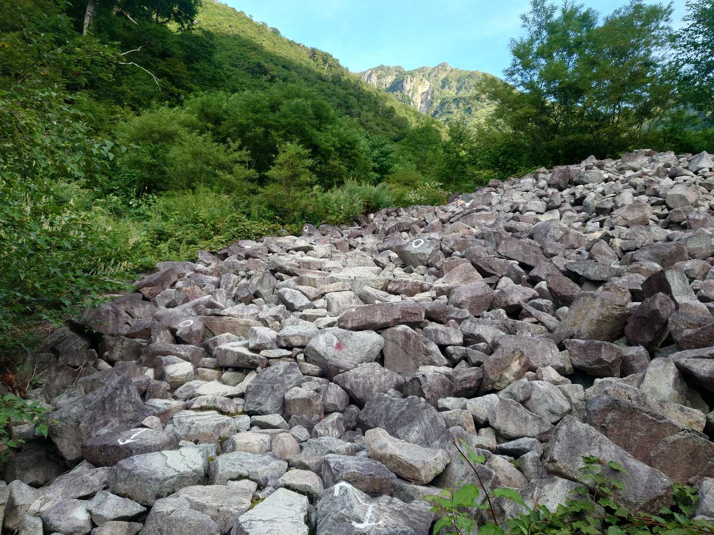 驚きました。
終盤までずっと岩の平らな面を上にしてルート整備してあります。
つまり平らな面を踏んでいけばそれがルートです。
開拓者と後継者の気の遠くなるような根気と努力の賜物。
ありがたい。
