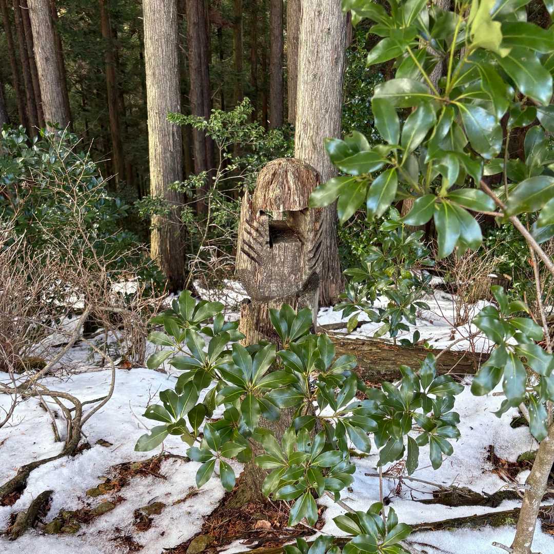 彫り物
前に来た時は
トウテンポールみたいだったような❓