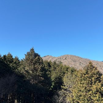 見晴台に降りてからの振り返って大山山頂