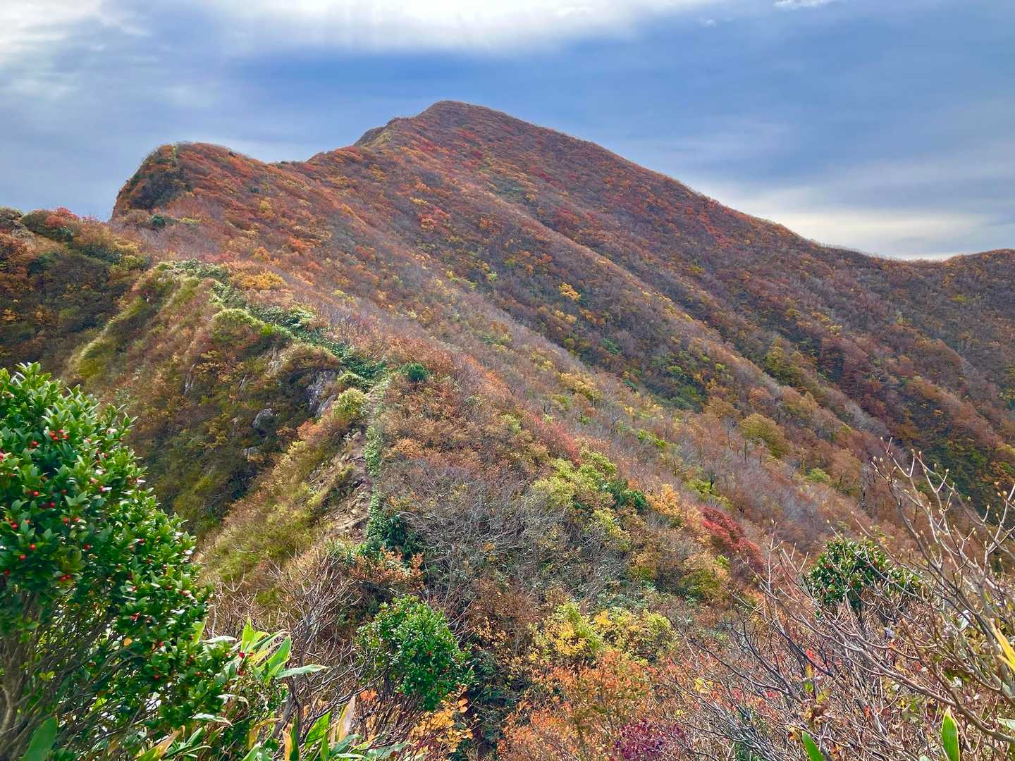 なんとも素晴らしい👍