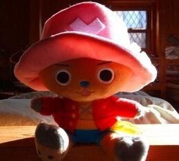 ｴﾙﾑ（￣（●●）￣） 