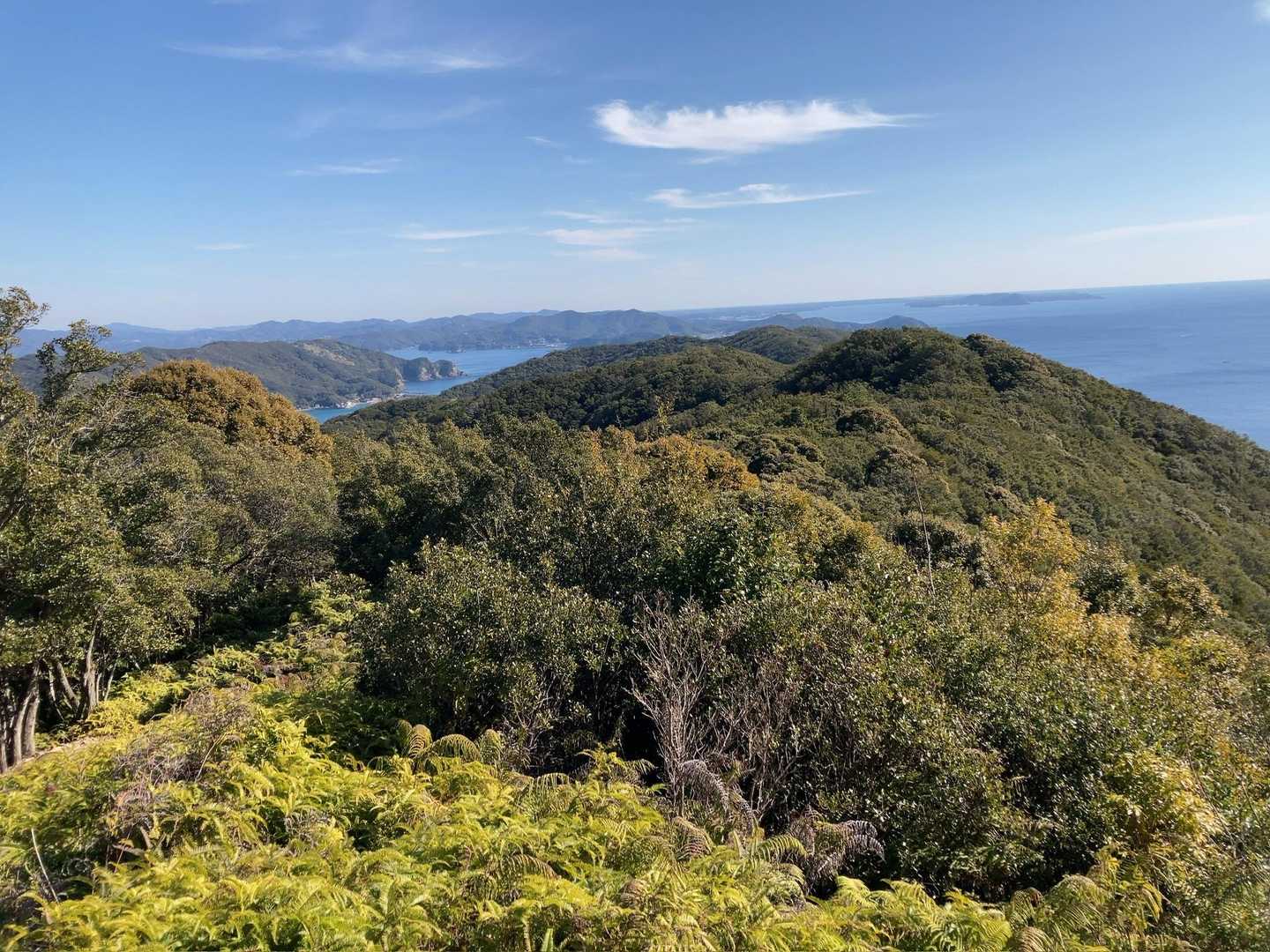相賀浅間山-北峰-局ヶ頂-網代浜-米子浜 周回コースの写真
