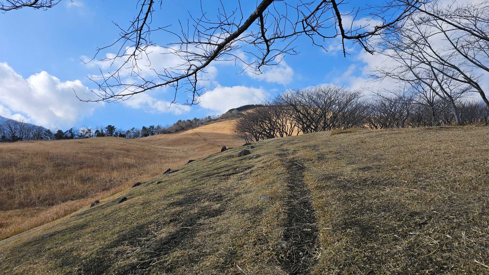扇山-内山渓谷登山口 周回コースの写真