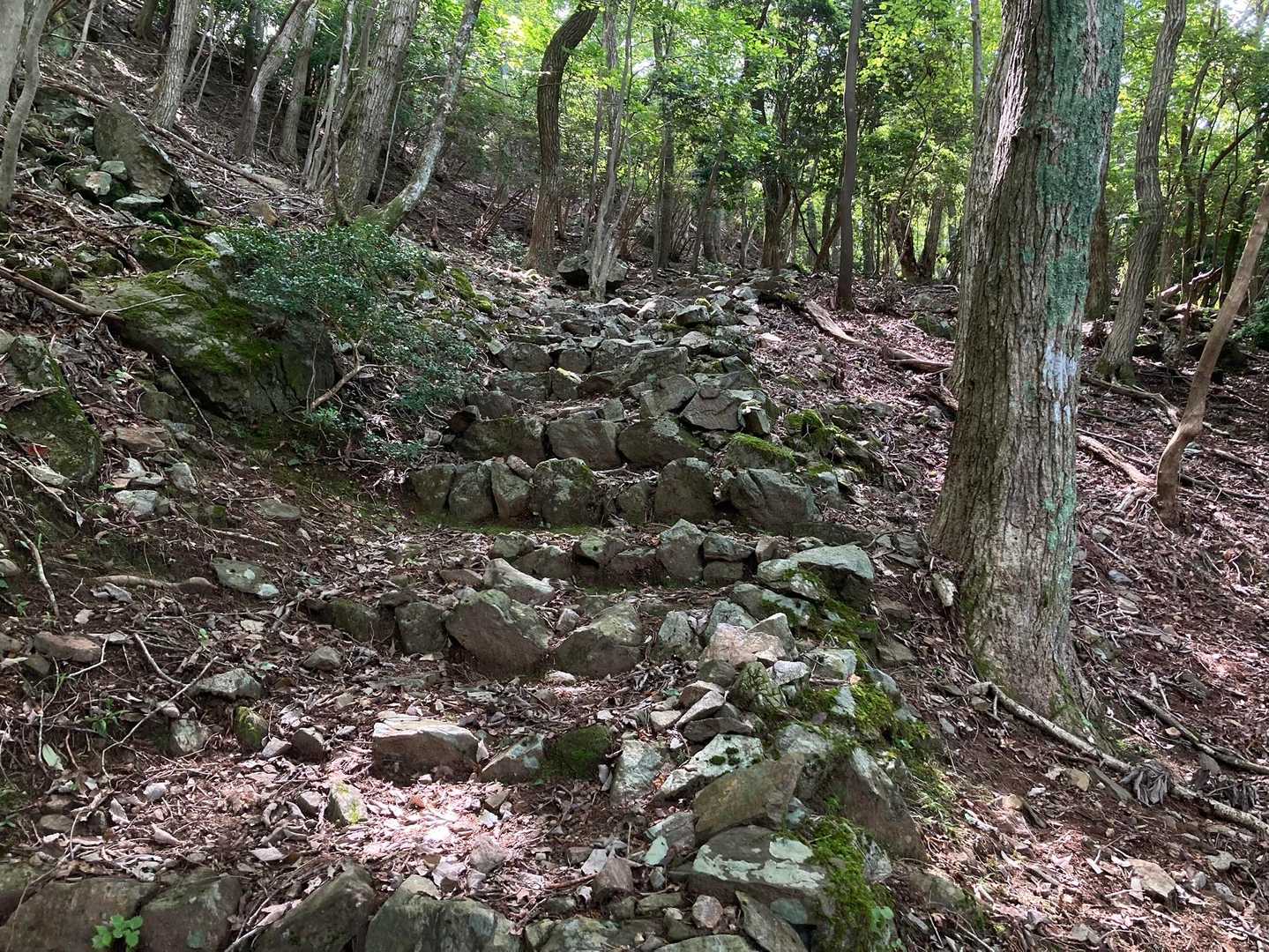 高束山 往復コースの写真