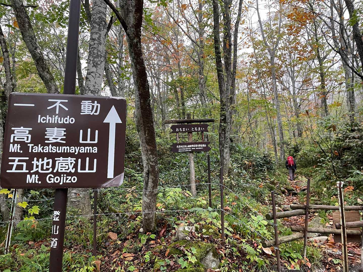 
私達は、一不動(大洞沢)コースから登ります
