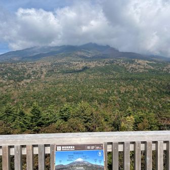 下山すると富士山頂は雲隠れ😶‍🌫️

今日最後のピーク、水ヶ塚駐車場横の腰切塚展望台から😭