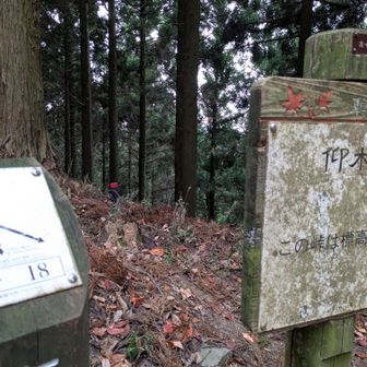 仰木峠ちゃく
計画より2時間も早いやん！