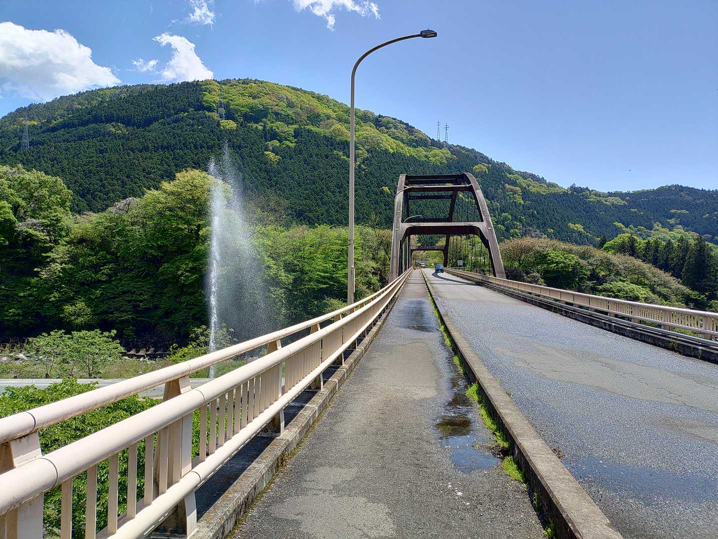 噴水の向こうに荒神山