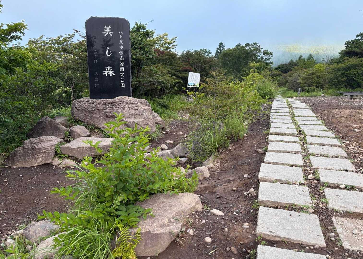 美し森駐車場発着｜真教寺尾根・赤岳・県界尾根周回コースの写真