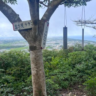 しあわせの鐘🔔らしい、鳴らしまくったよ