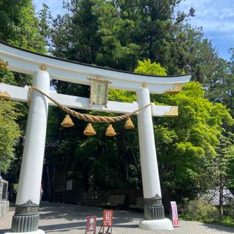 神社⛩️