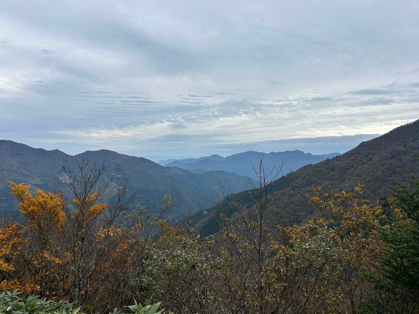 旧寒風山トンネル南口-桑瀬峠-伊予富士-寒風山 周回コースの写真
