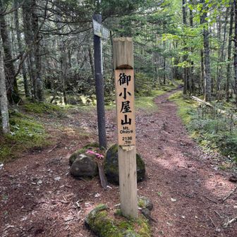 ここからしばらく平坦〜若干の下りで息を整える