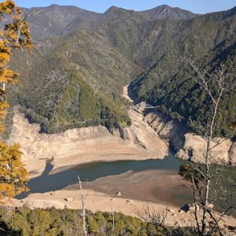 ニャン湖はニャンと！！
