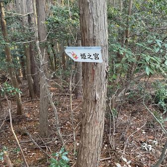 姫の宮奥宮へ行きます
ここからの下りが結構急で😅慎重に行きました