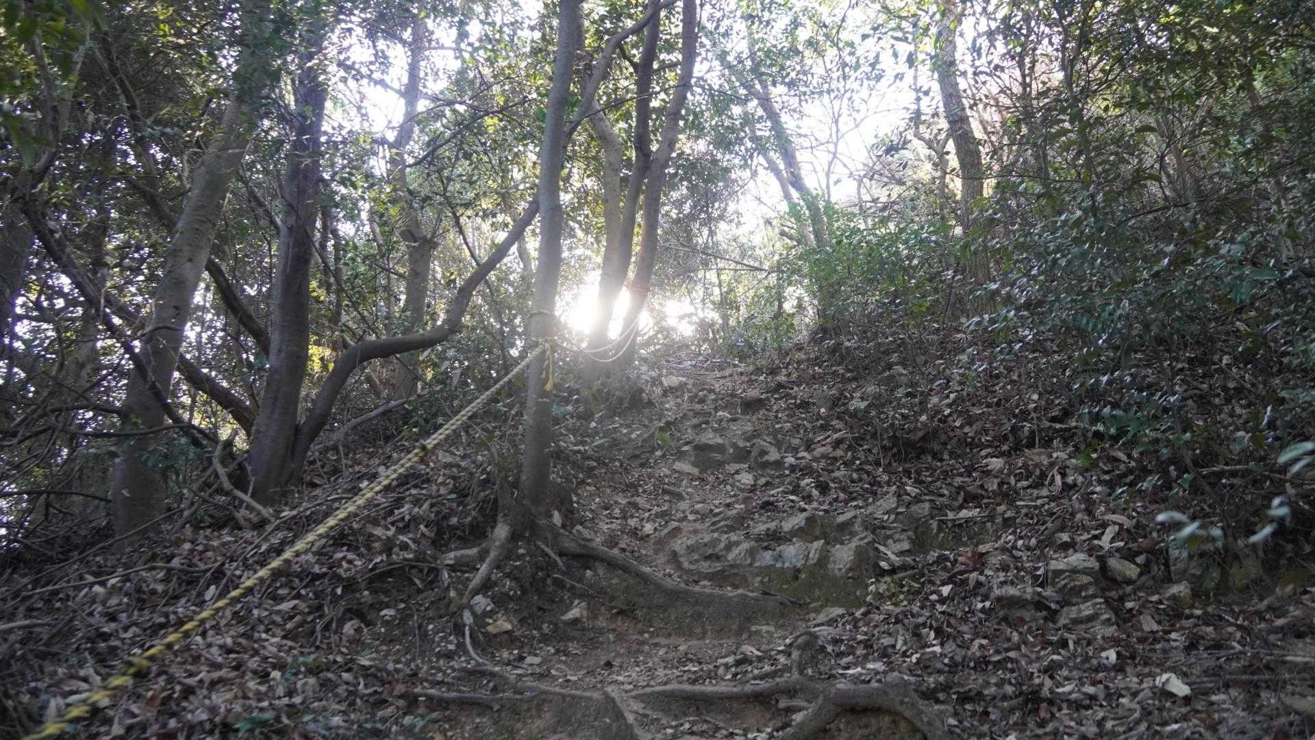 嵩山 往復コースの写真