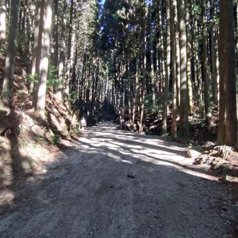 百ヶ辻登山口に戻ってきました。
今日も楽しい金剛山でした