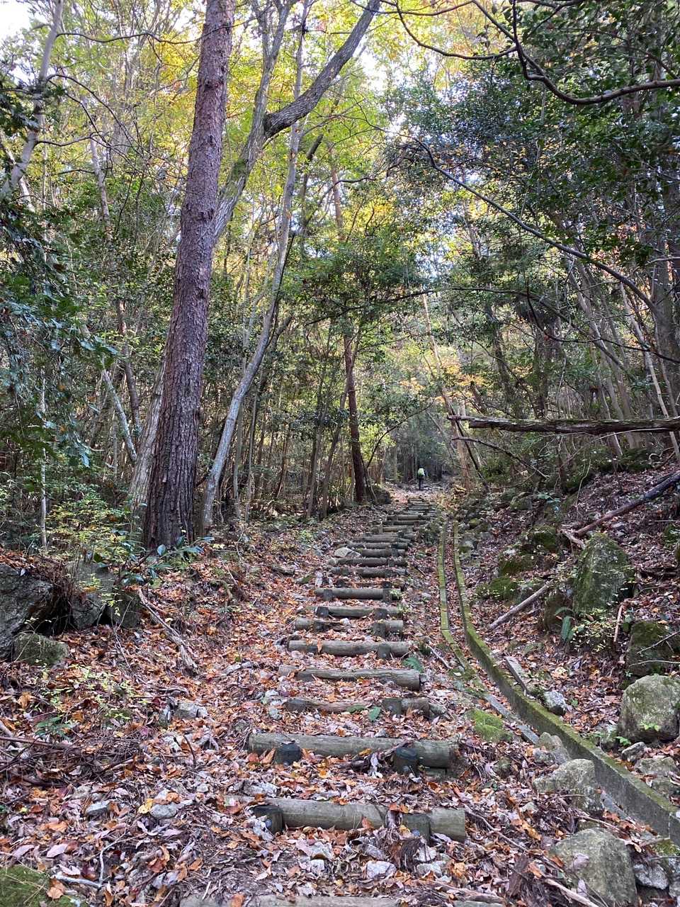 だけどだんだん道が荒れてきた😓