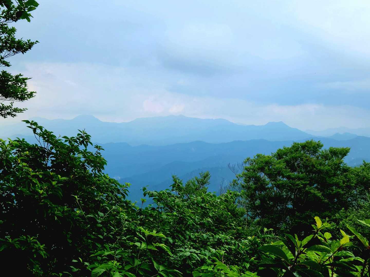 見れなかった景色