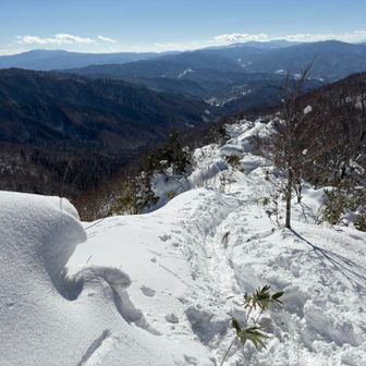 トレース使わせていただきますm(_ _)m
ありがとうございます！