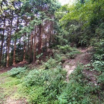 ミニ八十八か所の奥から箸蔵山に向かいます