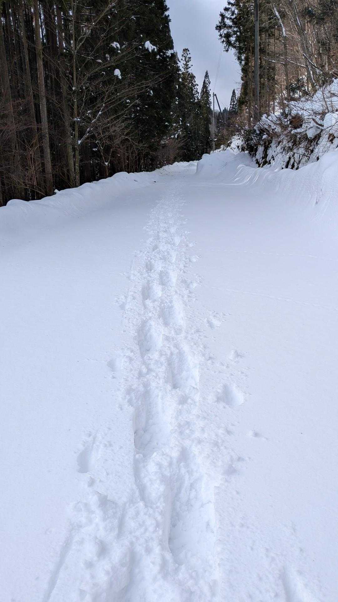 ここからは雪の上を歩いて行くので、他の登山者さんが作ってくれた道を歩いて行きます🎶