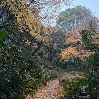 下山
歴史が詰め込まれたお山で面白かった
お疲れ山でした！