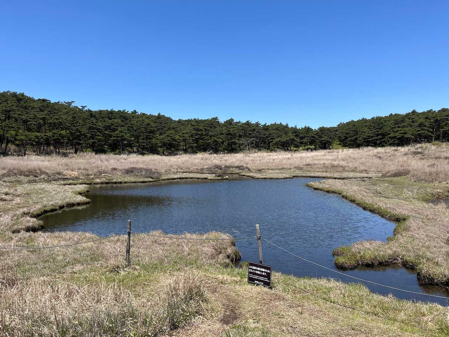 池塘〜😃🩵
天気はいいけど 微風🍃でリフレクションは見れず⤵︎ ︎