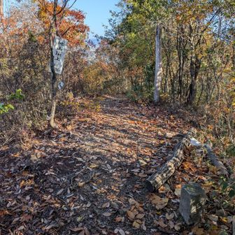 桃山頂上。行く道