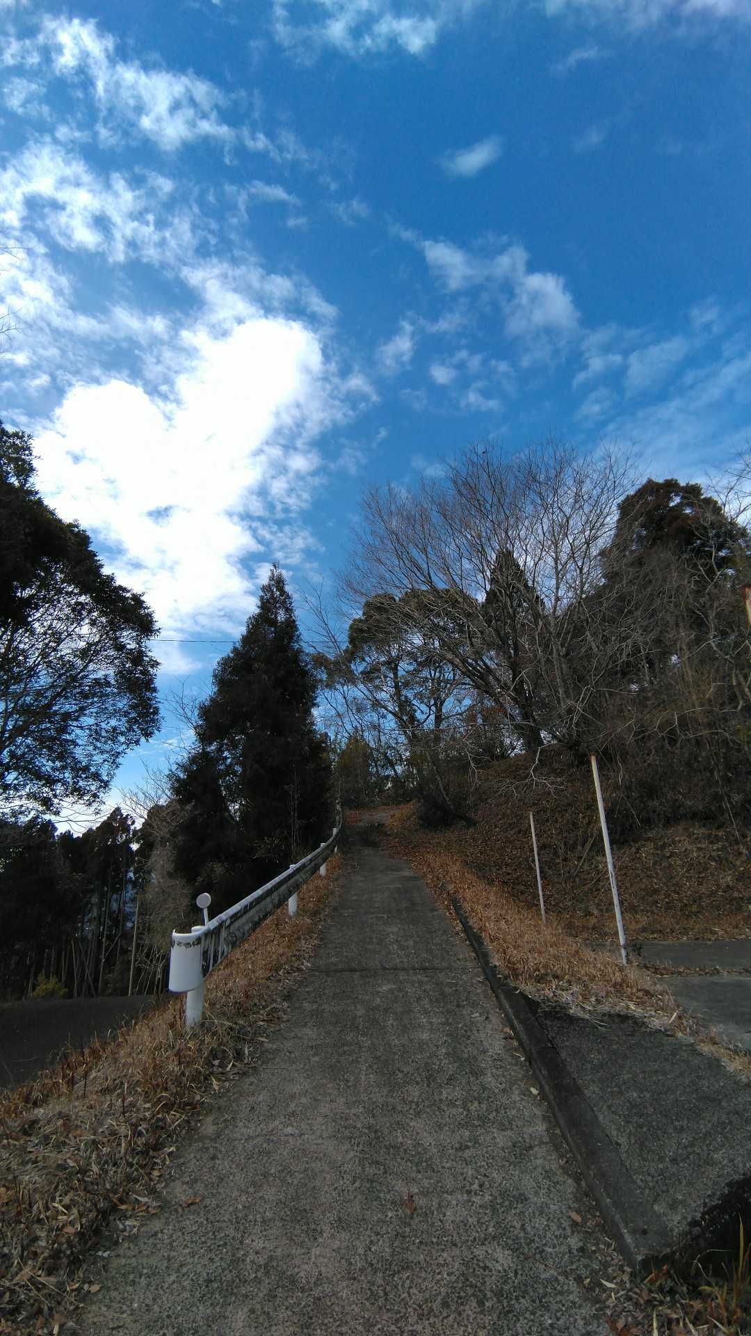 いい天気☀