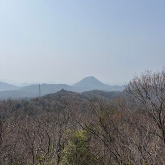 三上山を望めますが、黄砂が酷くて霞んでます