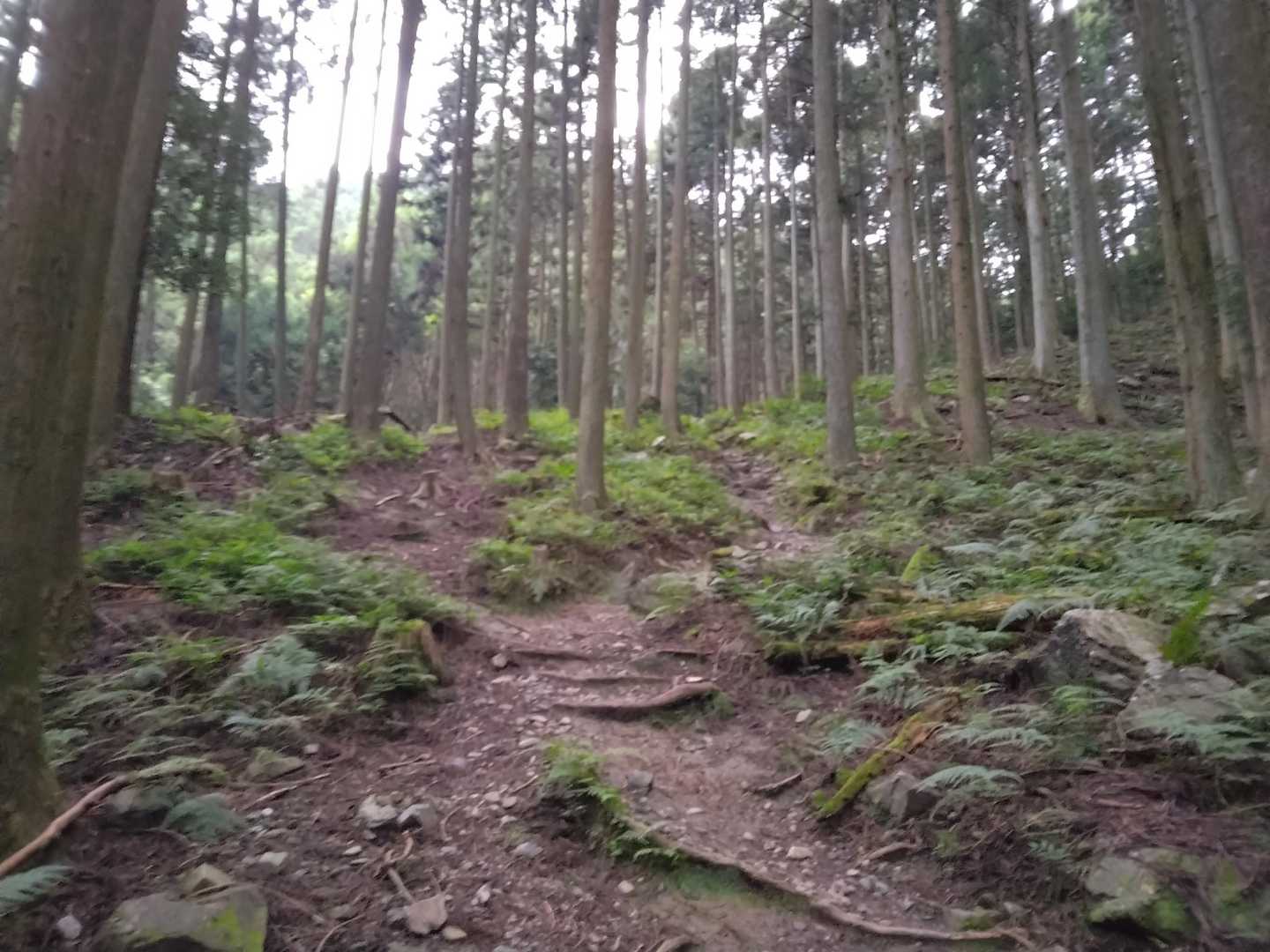 涼しいけど湿度が高いので汗出ます