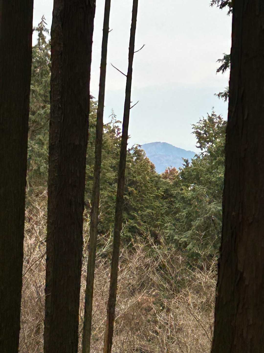 竜ヶ石山だっかな