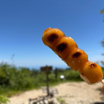 山より、団子🍡