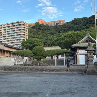 照国神社に向かいます⛩️
まずは、すごい木がこちらに向かって羽ばたいてる😳
(樹齢180年のイヌマキの木らしいです✨)