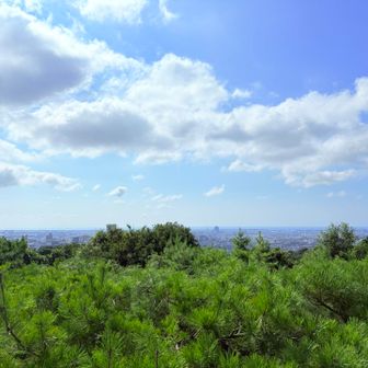 金沢市内