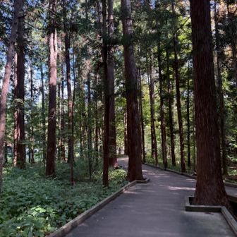 ハイキングコース🥾ここも人が沢山。