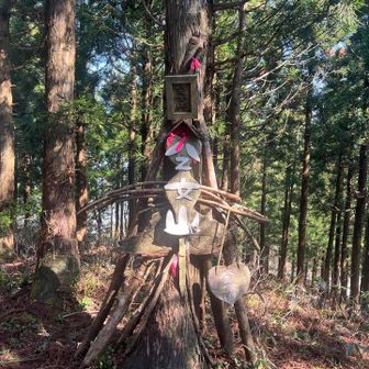 いつもの山頂標識ですね！三角点あり