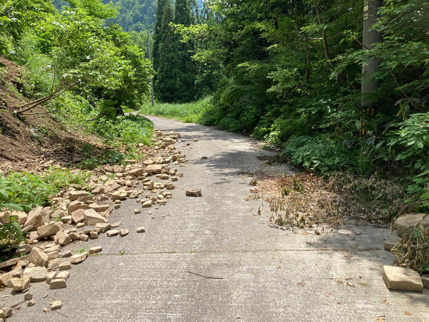 林道は落石だらけ