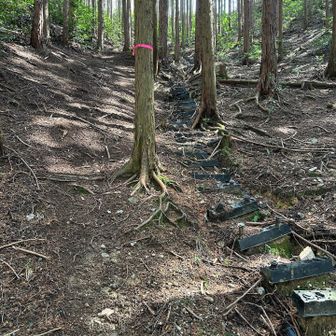 階段がありますが、壊れている箇所が多くて危険です。左側を歩きます。