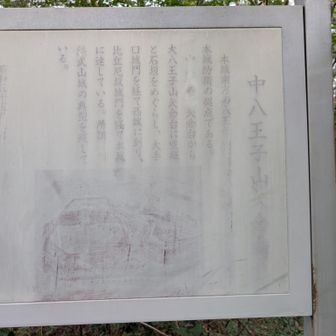中八王子山*矢倉台