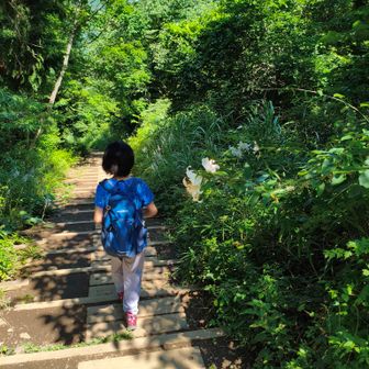 階段が続いて疲れてしまい、巻き道で引き返すことにする。