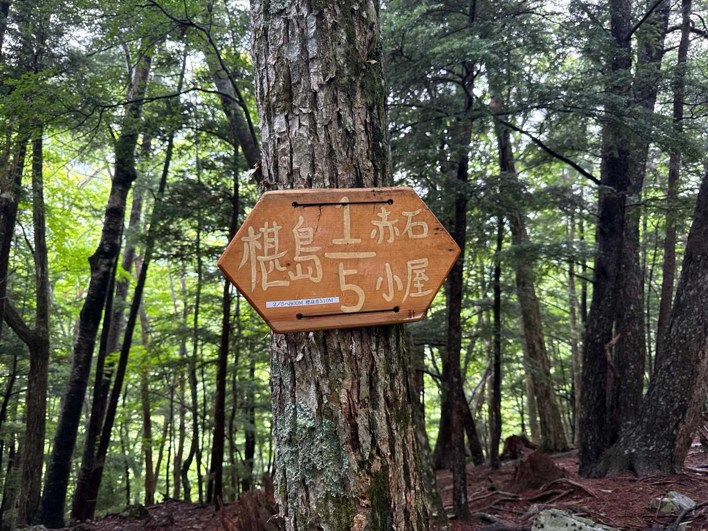 あともう少しで椹島