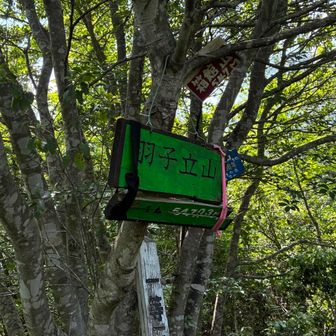 地形図をみながら散策、隠された看板を見つけた
んん？箱館ではない？
