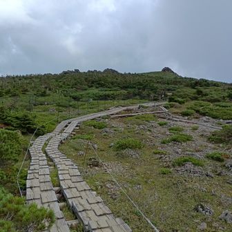 山頂付近の木道
