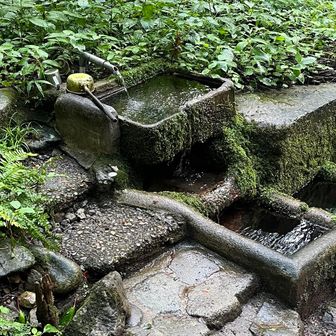 早速水場が現れた
冷たいぞ