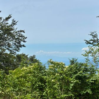 写真では分からないが鳥海山も見えましたよ