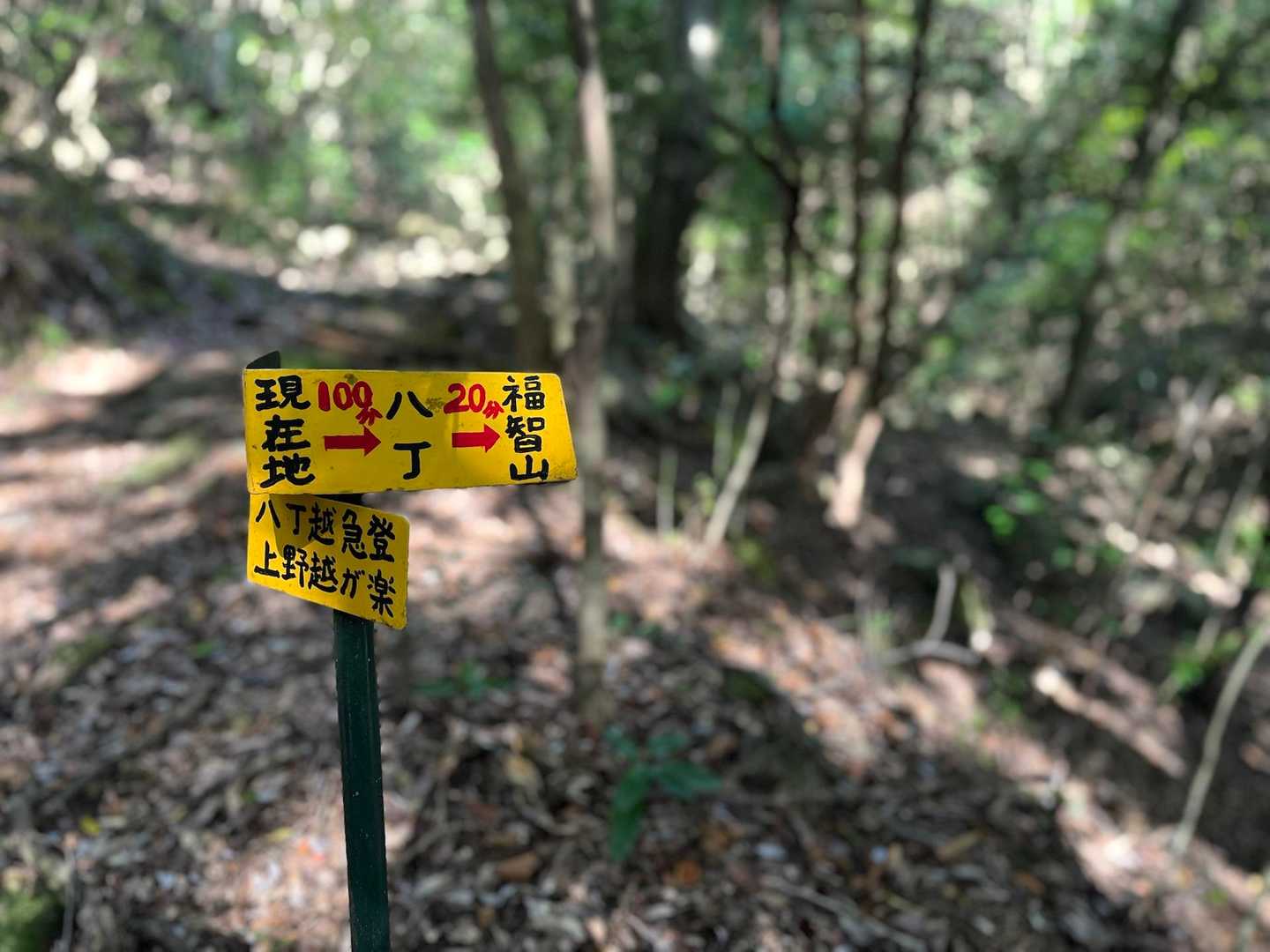 久しぶりの白糸の滝コース