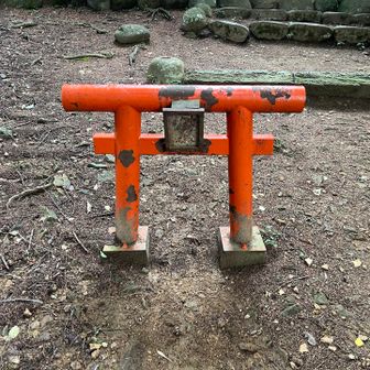 この小さな鳥居を潜ると